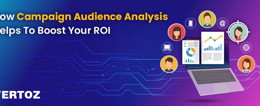 how-campaign-audience-analysis-helps-to-boost-your-roi